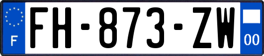 FH-873-ZW