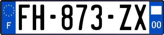 FH-873-ZX