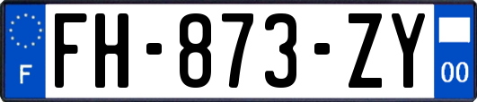 FH-873-ZY