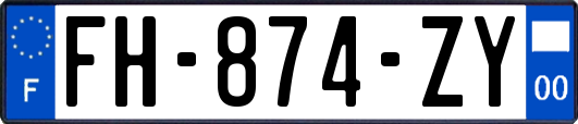 FH-874-ZY