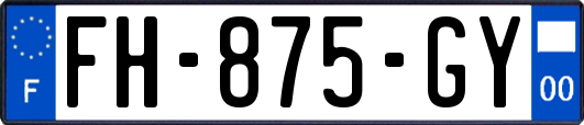 FH-875-GY