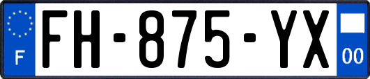 FH-875-YX