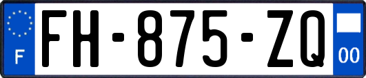 FH-875-ZQ