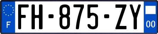 FH-875-ZY