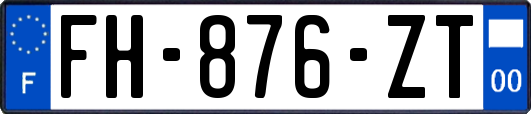 FH-876-ZT