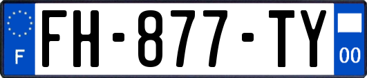 FH-877-TY
