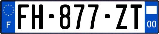 FH-877-ZT