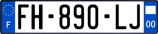 FH-890-LJ