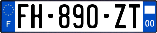 FH-890-ZT