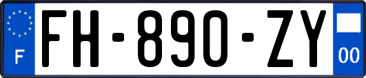 FH-890-ZY