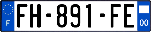 FH-891-FE