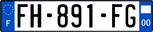 FH-891-FG