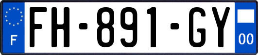 FH-891-GY