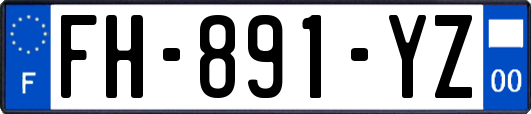 FH-891-YZ