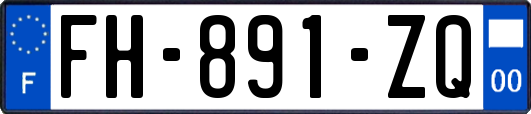 FH-891-ZQ