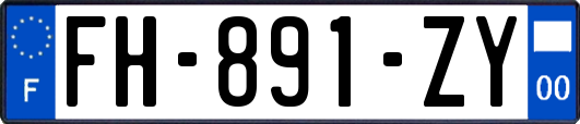 FH-891-ZY