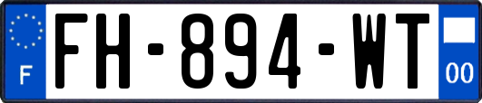 FH-894-WT
