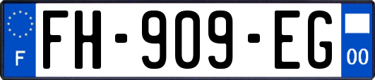 FH-909-EG