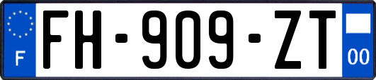 FH-909-ZT