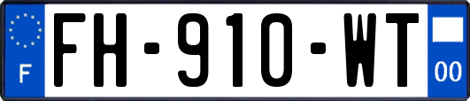 FH-910-WT