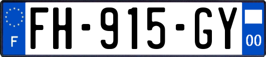FH-915-GY