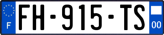 FH-915-TS