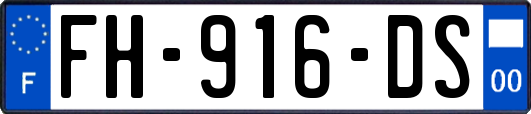 FH-916-DS