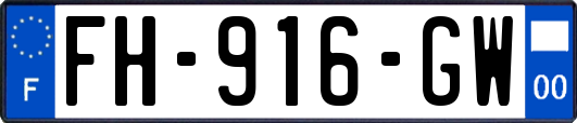 FH-916-GW