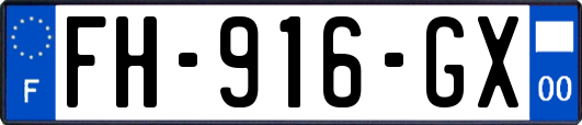 FH-916-GX