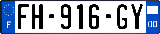 FH-916-GY