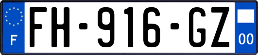 FH-916-GZ