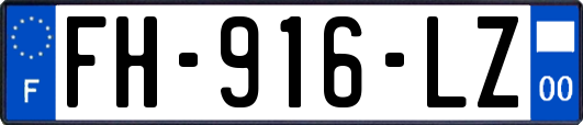 FH-916-LZ