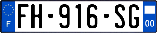 FH-916-SG