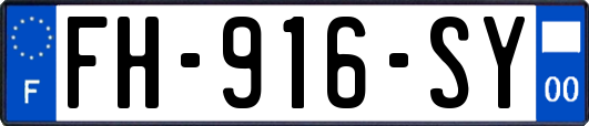 FH-916-SY
