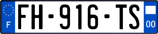 FH-916-TS