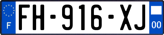 FH-916-XJ