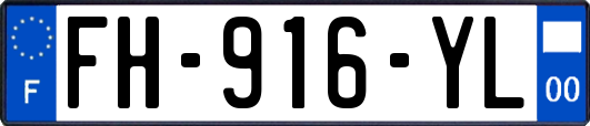 FH-916-YL