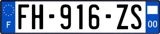 FH-916-ZS