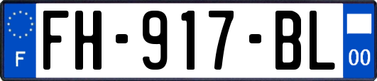 FH-917-BL