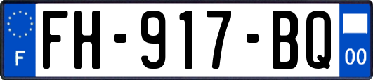 FH-917-BQ