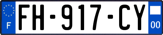 FH-917-CY