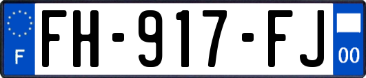 FH-917-FJ