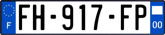 FH-917-FP