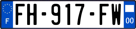 FH-917-FW