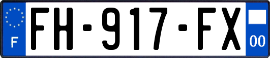 FH-917-FX