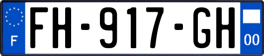 FH-917-GH