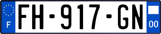 FH-917-GN