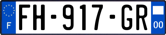 FH-917-GR