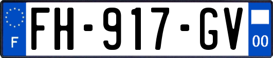 FH-917-GV