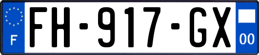 FH-917-GX